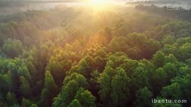 清晨,空中<strong>俯瞰</strong>着春天的绿林.日出时分飞越绿树成荫.早上的阳光和雾。高品质射击，4k